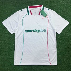 Camisa Palmeiras Away II 26/27 – Puma – Torcedor M...